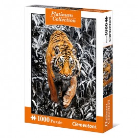 Tiger - 1000 pieces - Platinum Collection