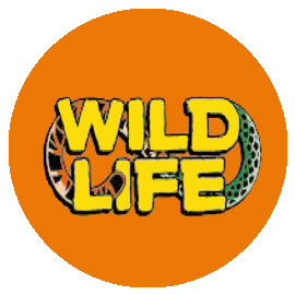 مجموعه حیات وحش (1)