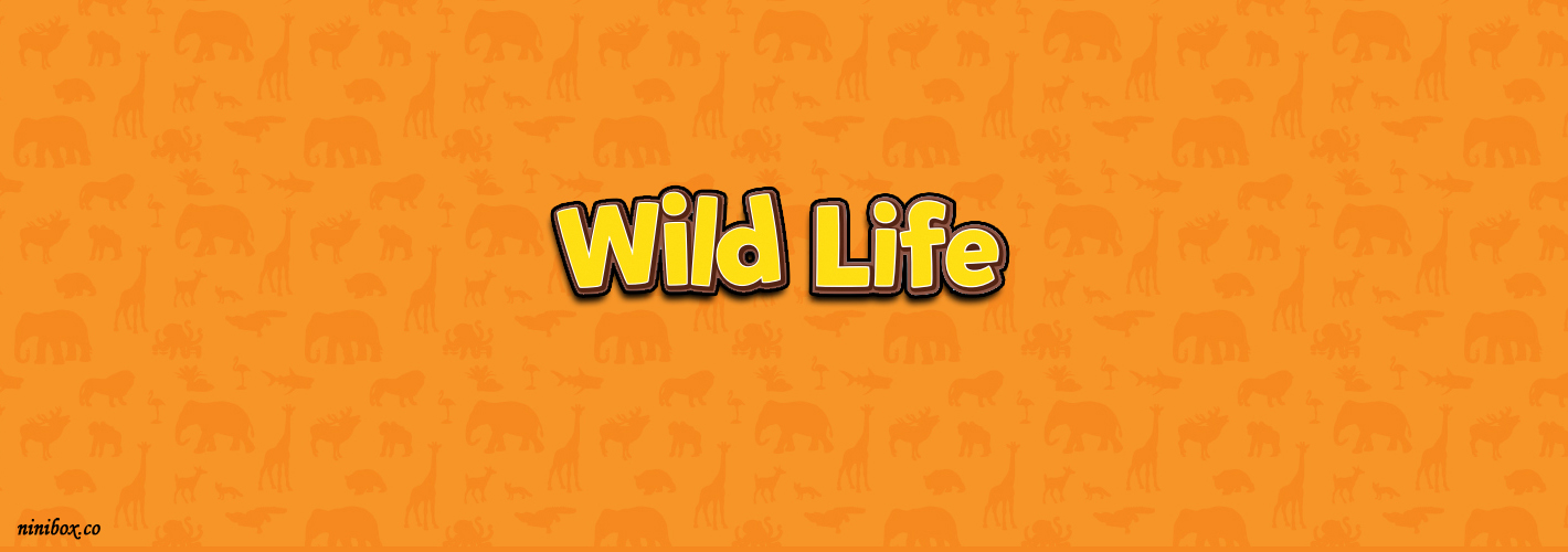 wild life